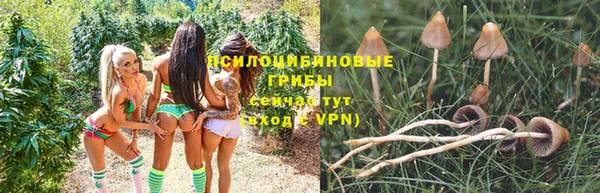 прущие крисы Заводоуковск