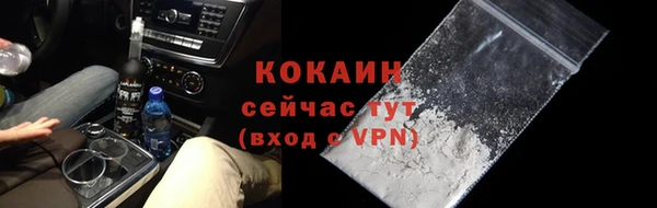 прущие крисы Заводоуковск