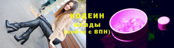 прущие крисы Заводоуковск