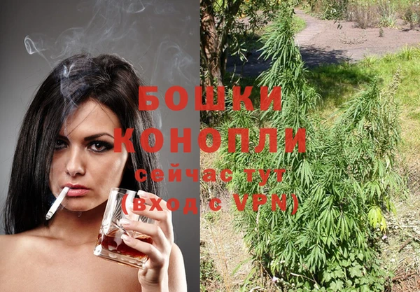 прущие крисы Заводоуковск
